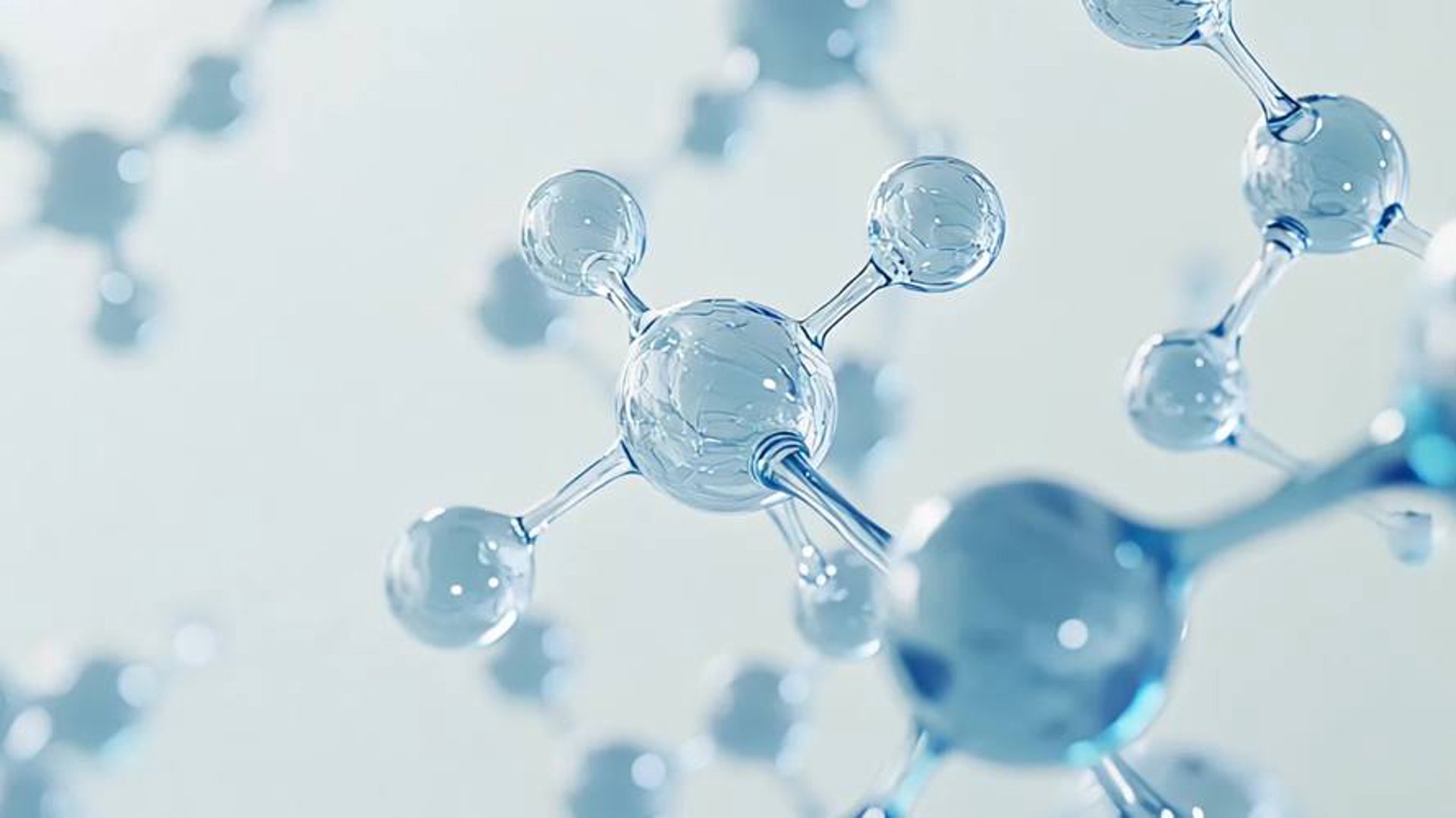 碧源生物
